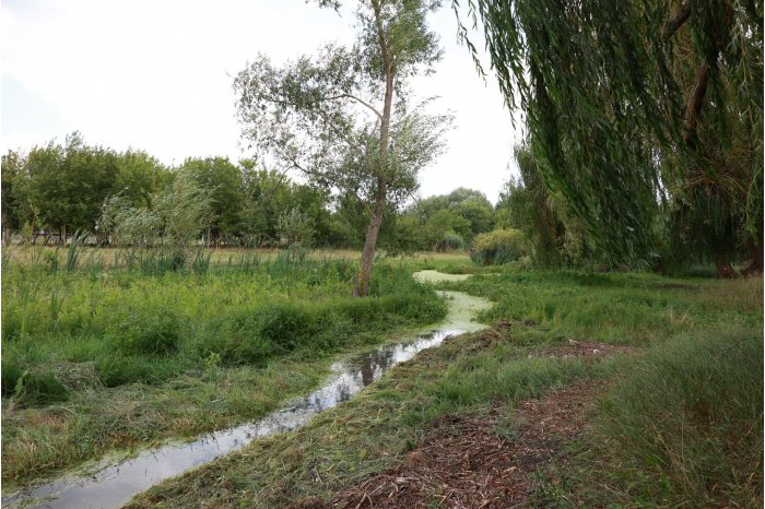 GUVERNUL CONSTRUIEŞTE // Râul Cubolta din satul Plop, Dondușeni, va fi curățat și revitalizat