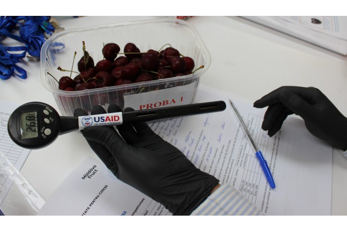 Calitatea fructelor moldovenești pentru export va fi evaluată în cadrul unui nou program susţinut de  USAID
