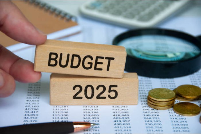 Moldovan parliament approves state budget for 2025 in second reading 