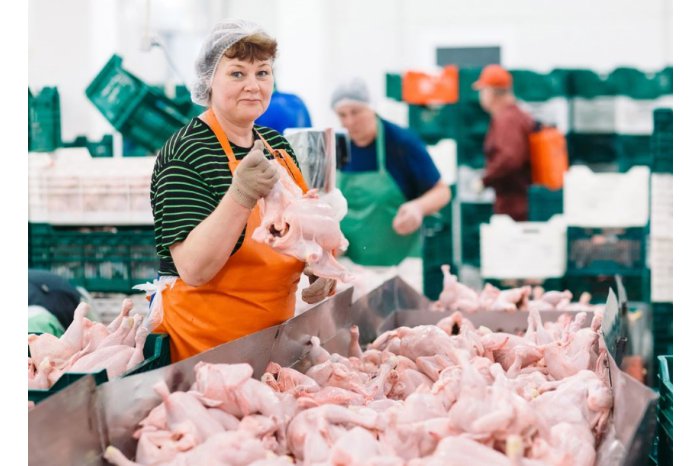 Moldovan producers to be able to export poultry to EU